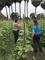 Madam Sokha Homesteading