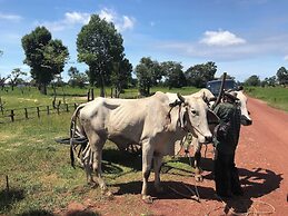 Madam Sokha Homesteading