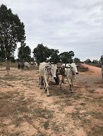 Madam Sokha Homesteading