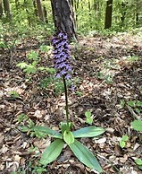 Holiday Home Tachbachtal