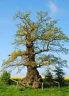Anne's Holiday Home by the Lake