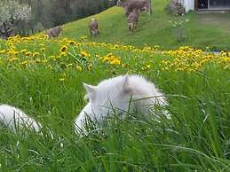 Nice Apartment in St. Maergen