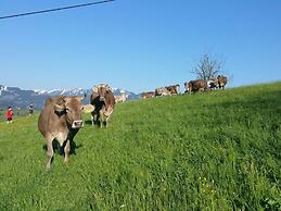 Nice Apartment in St. Maergen