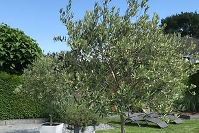 Holiday Apartment Summer Breeze