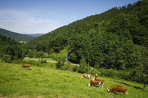Holiday Apartment Hohe Stein