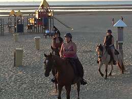 Romantic Studio in Stellendam With Terrace