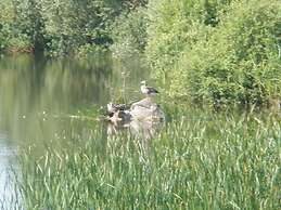 Pleasant Holiday Home Near Town Center