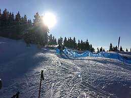 Nice Apartment in Sasbachwalden