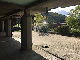 Nice Apartment in Sasbachwalden