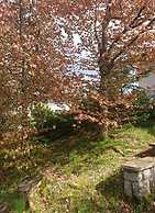 Holiday Home Am Dachsberg