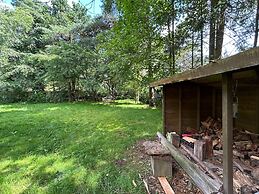 Lovely House in the Middle of the Woods