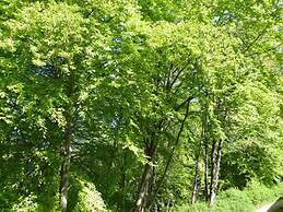 Utkiek Stuuv Comfortable Holiday Residence