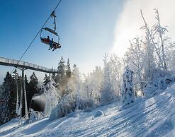 Apartment in Niedersfeld Near the ski Slopes
