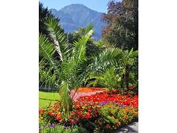 Salzburg Comfortable Holiday Residence