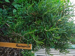 Holiday Home in Fano With Free Water Park Access