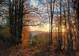 Country House Near Parc du Morvan With Pool