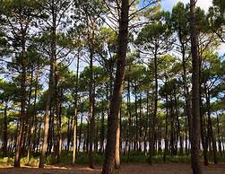 Nice Holiday Home Near Lake in Les Landes
