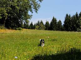 Waldhaus Sonnenberg Apartment 2