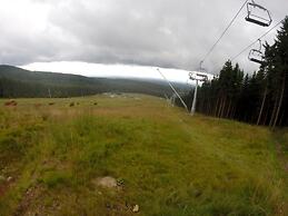 Holiday Apartment Summit Nest