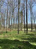 Holiday Home Eifelise