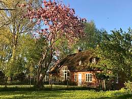 Warft Simmerdeis 2 Comfortable Holiday Residence