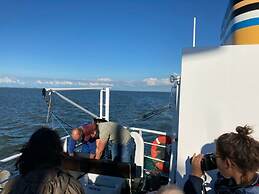 Apartment in Castelletto di Brenzone