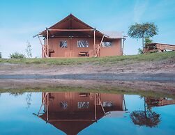 Glamping Tent With AC and a View of the Kuinderbos