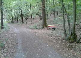 Regal Apartment in Pracht With Garden and Grill