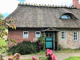 Reading Roof Cate Fuchsgraben