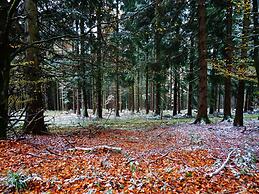 Large House in Winterberg
