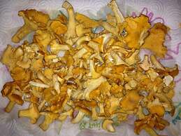 Holiday Home Hus Lammen Right on the Lake