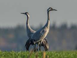 Salt air Comfortable Holiday Residence