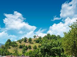 Attractive Apartment With Terrace