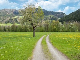 Attractive Apartment With Terrace