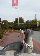 Holiday Apartment Storm Surge