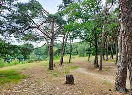 Lodge by Rhine With Stunning Water Views