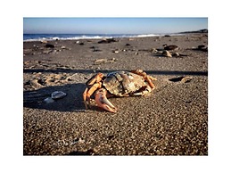 Holiday Home Sandepark 127