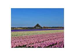 Holiday Home Sandepark 127