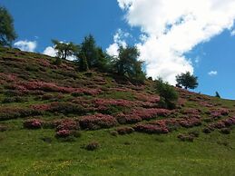 Apartment Carpe Diem