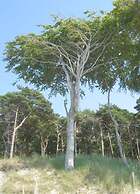 Holiday Home Der Schwelmer