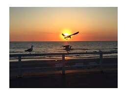 Holiday Home in Renesse