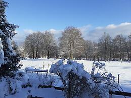 Haus Wiesenblick Comfortable Holiday Residence