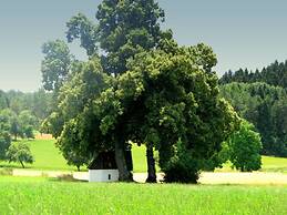 Holiday Apartment Chapel