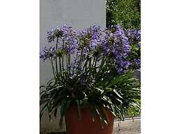 Holiday Apartment Chapel