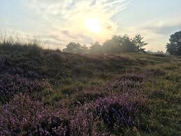 Pavilion 6 People With Storage Space