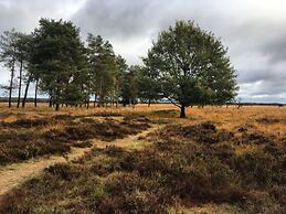 Pavilion 6 People With Storage Space