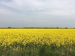 Kleine Freiheit Fehmarn