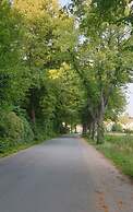 Holiday Apartment on the Lindenallee