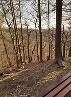 Holiday Apartment on the Anger