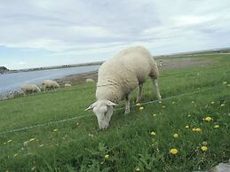 Oland in Haus Halligblick
